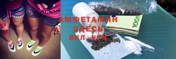 PSILOCYBIN Горняк
