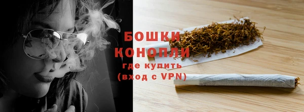 PSILOCYBIN Горняк