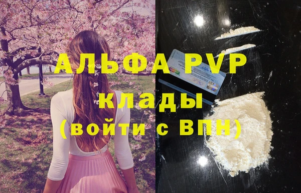 PSILOCYBIN Горняк