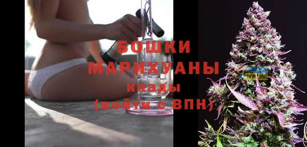 PSILOCYBIN Горняк