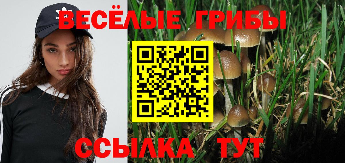 Галлюциногенные грибы Psilocybe  Вход с VPN  Муром 